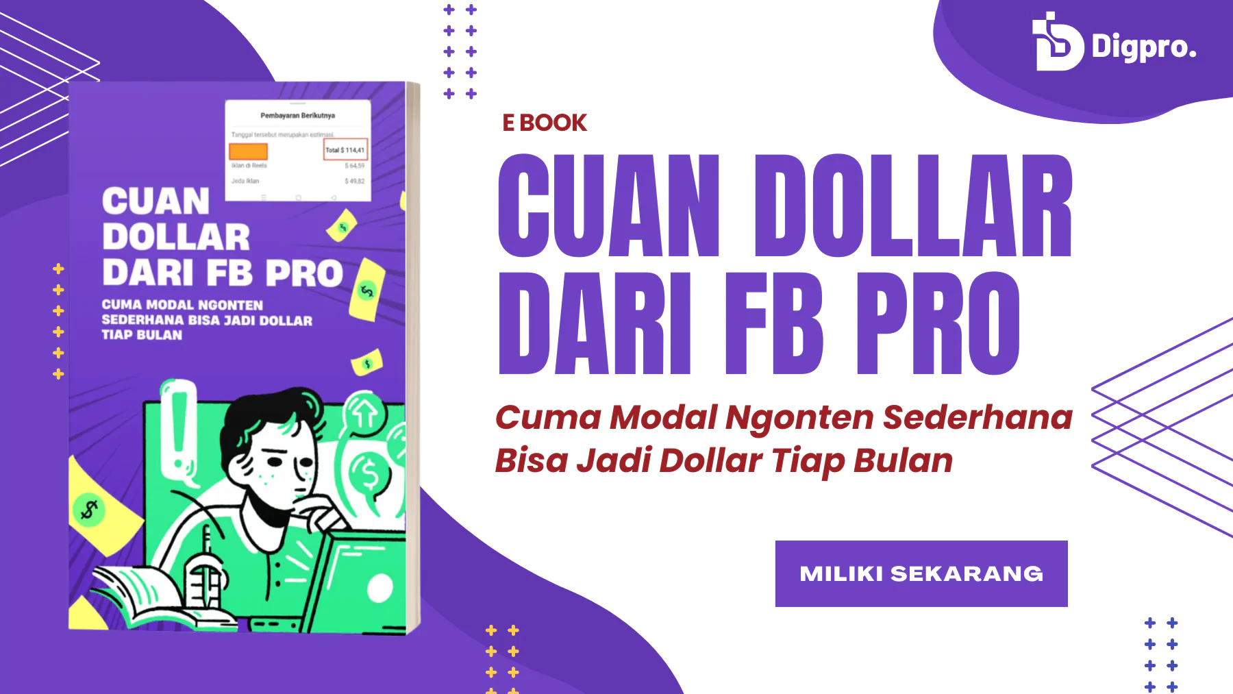 Hasilkan Cuan Dollar dari FB Pro